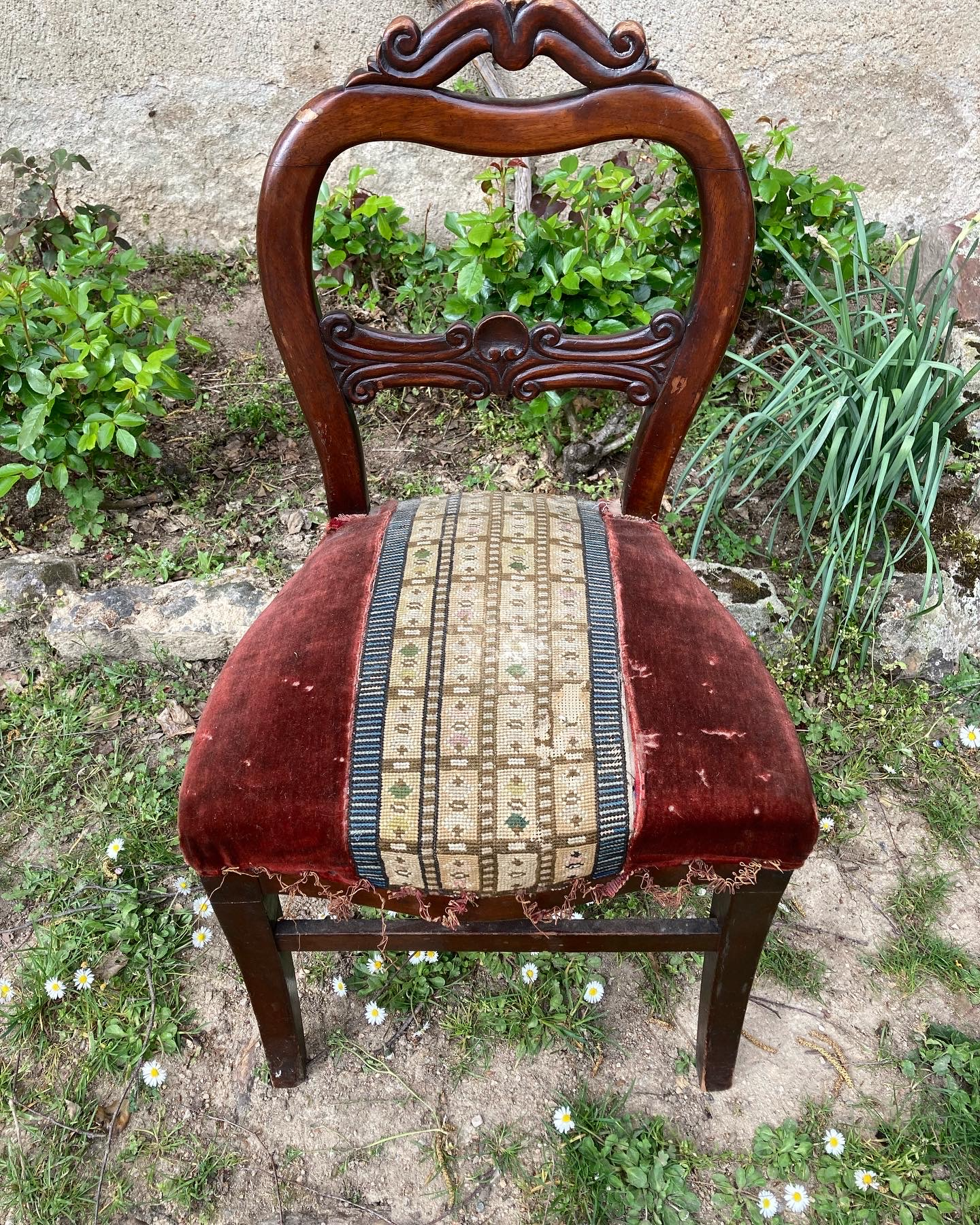 chaise-louis-philippe-avant